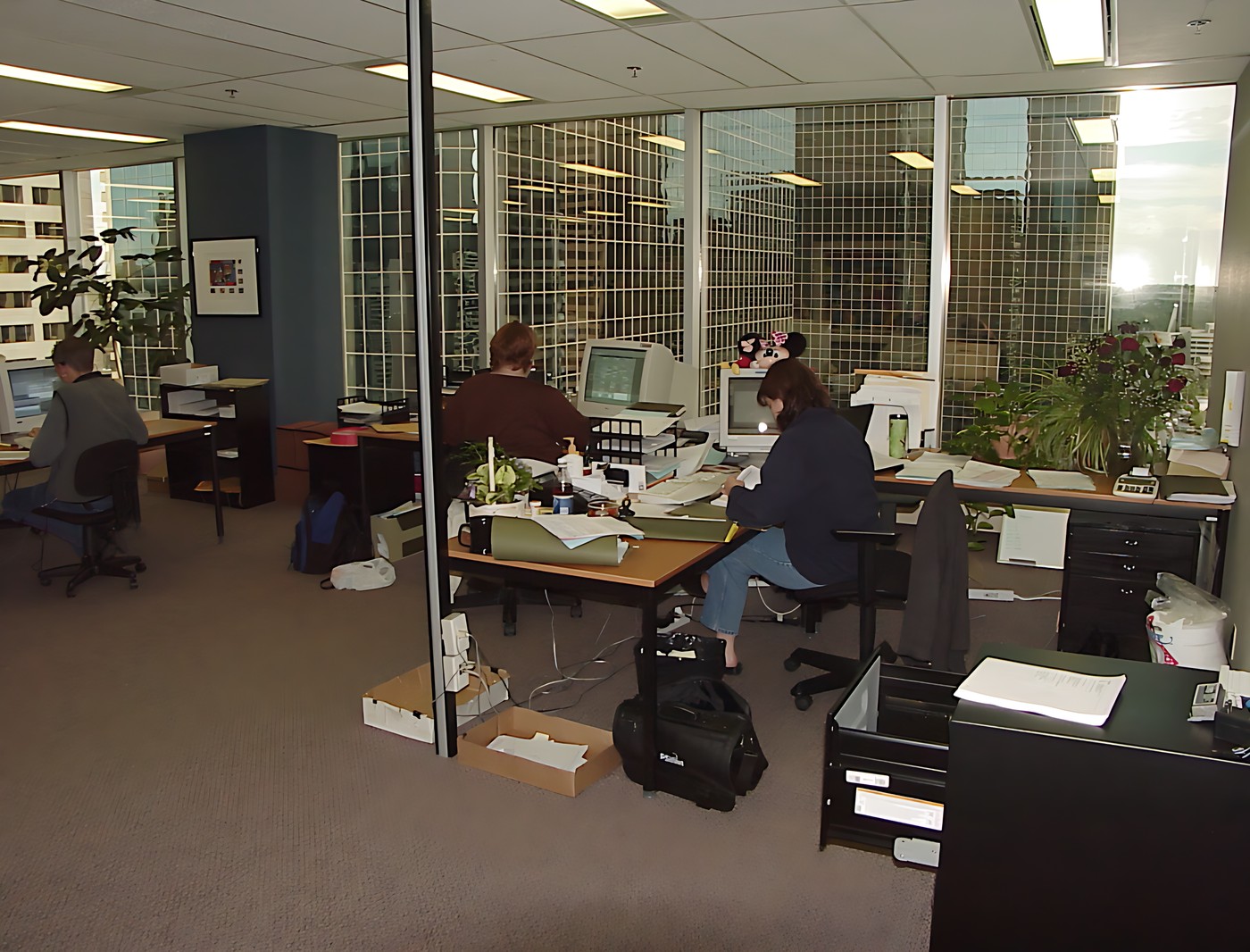 The open office
